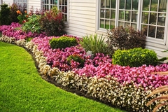 Low-Maintenance Plants: The Secret to a Stunning Yet Practical Garden