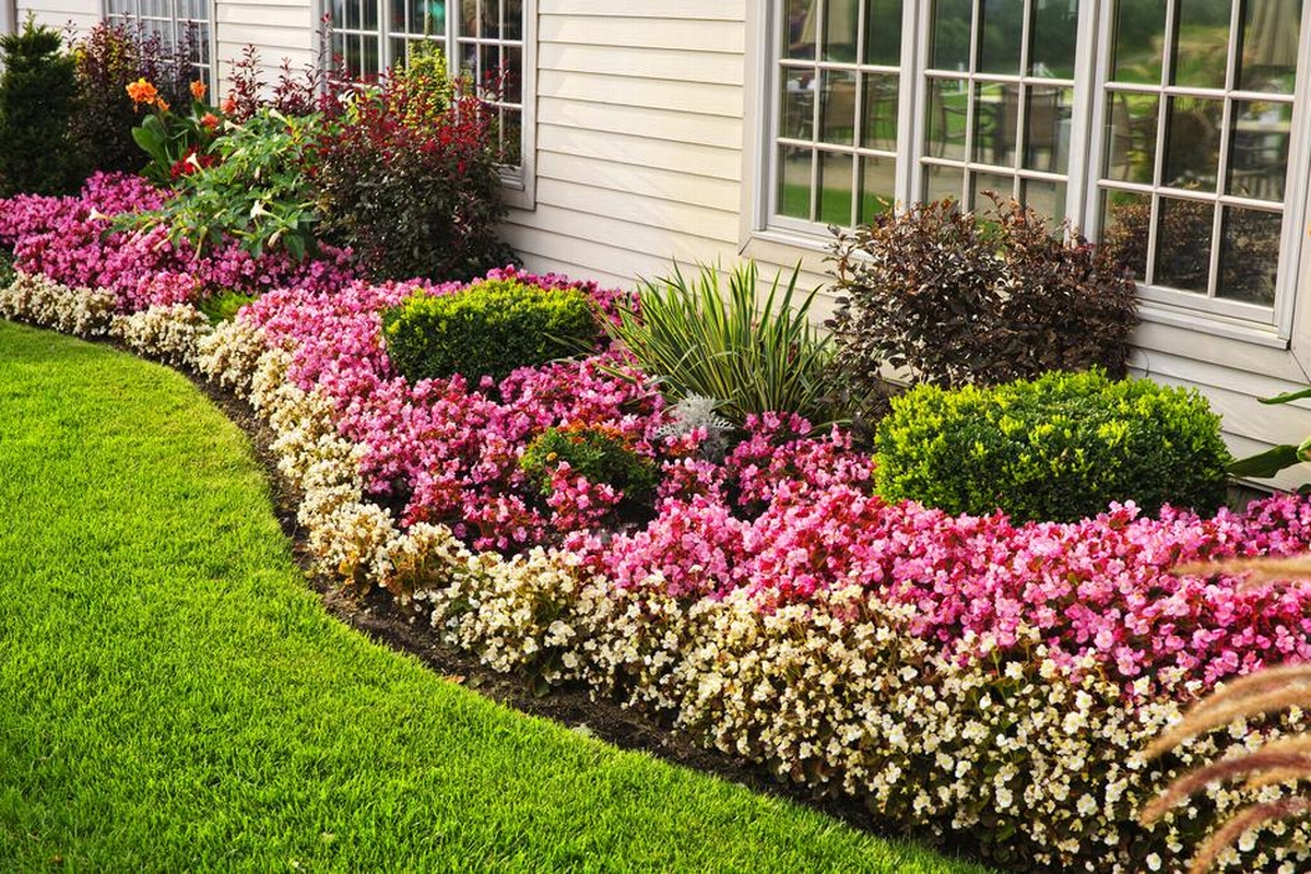 Low-Maintenance Plants: The Secret to a Stunning Yet Practical Garden