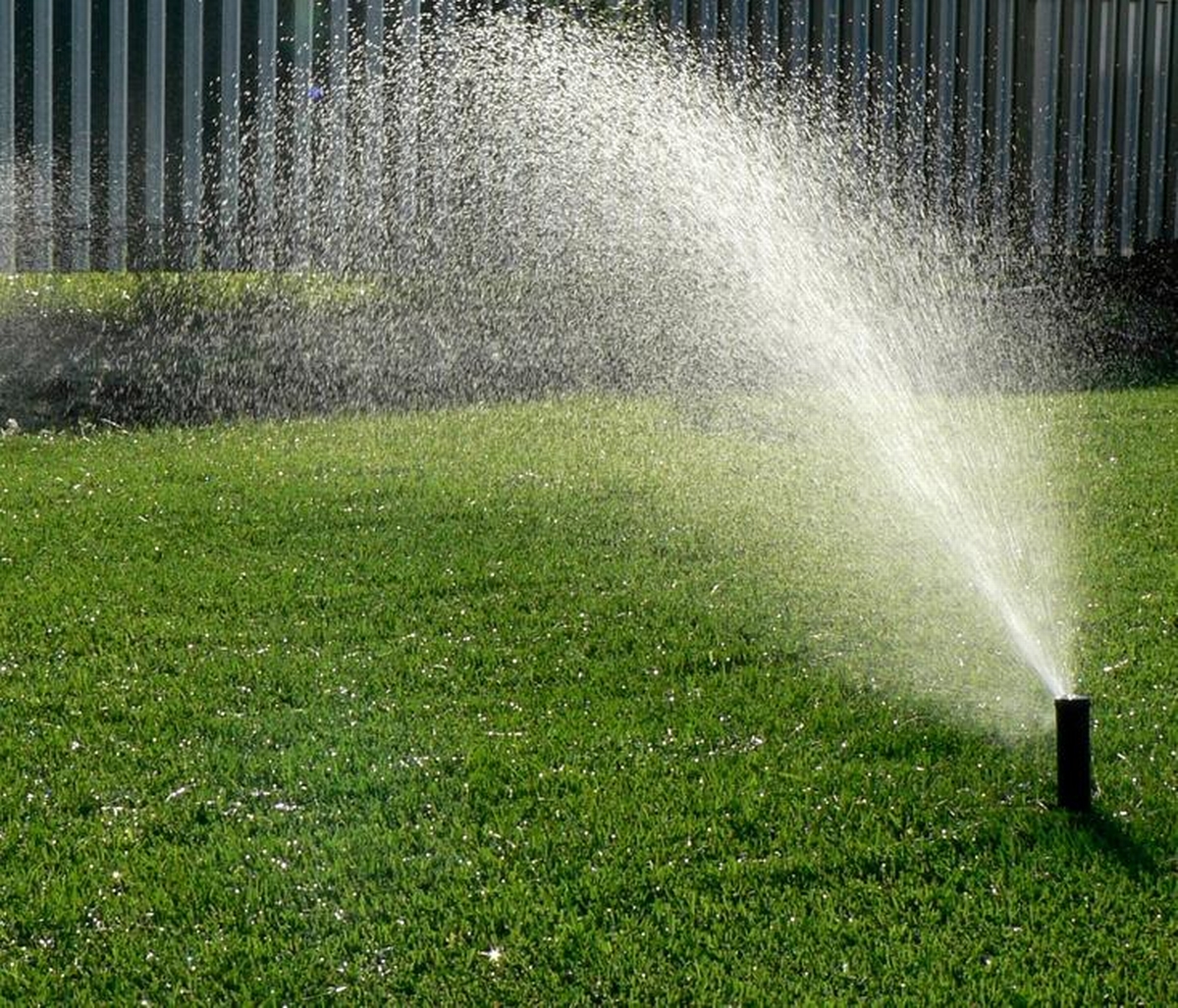 Top 7 Drought-Resistant Plants to Transform Your Garden: A Guide for Water-Conscious Homeowners