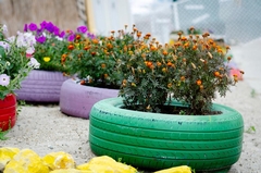 Landscaping on a Budget: 5 Affordable Transformations for Your Home Garden