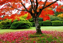 The Rise of Native Plants: Why They’re Essential for Your Garden's Success