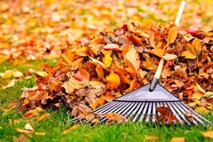Seasonal Strategies: Achieving a Year-Round Perfect Lawn