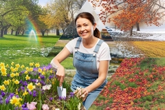 How to Care for Lawn Through Every Season