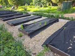 Is Landscaping Fabric Water Permeable for Garden Beds?