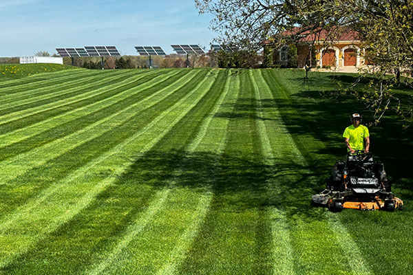 Lawn Care & Maintenance