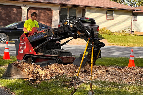 Tree Removal & Stump Grinding